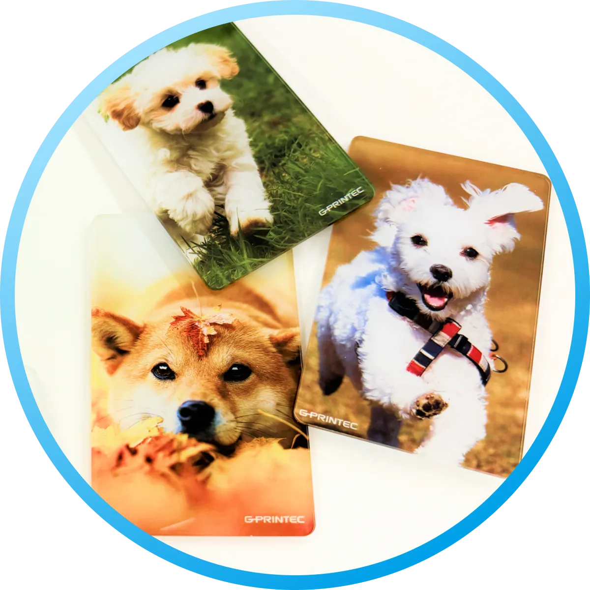 イベント記念カード